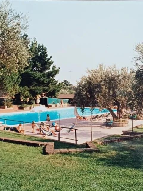 Market Image