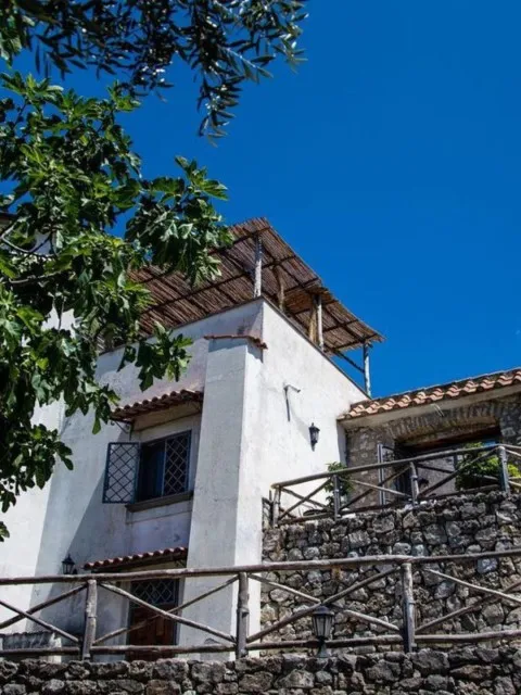 Market Image