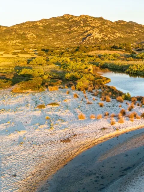 Market Image