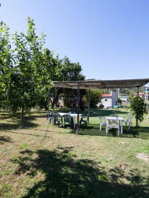 Market Image