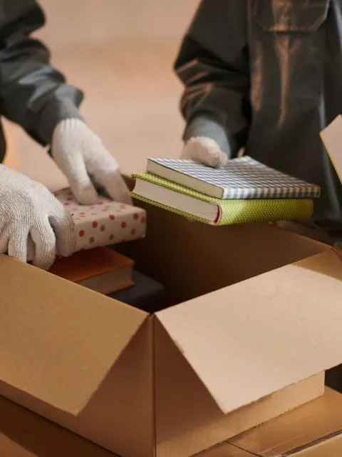 Box Image