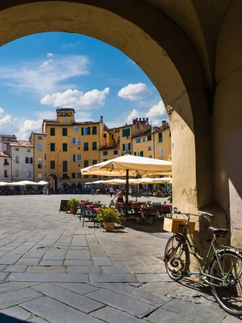 Market Image