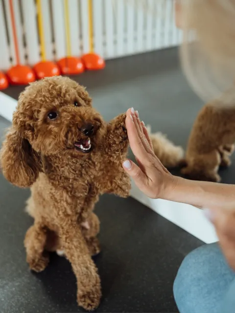 Market Image