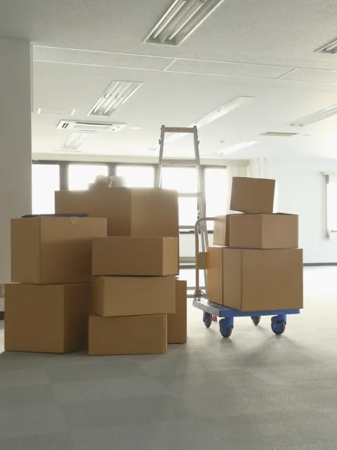 Box Image