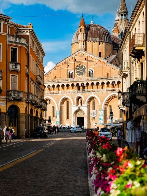 Market Image