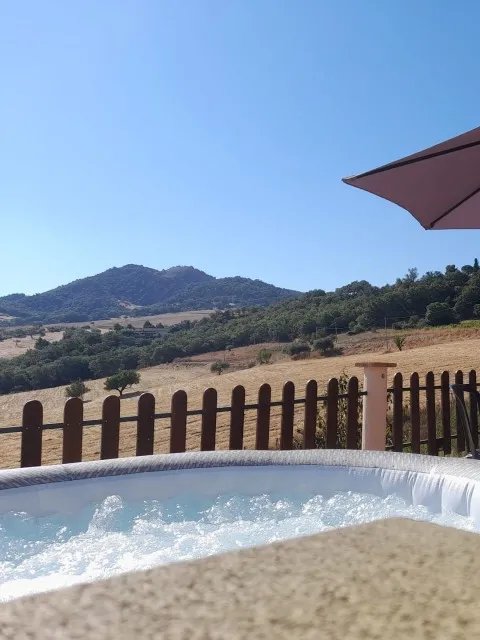 Market Image