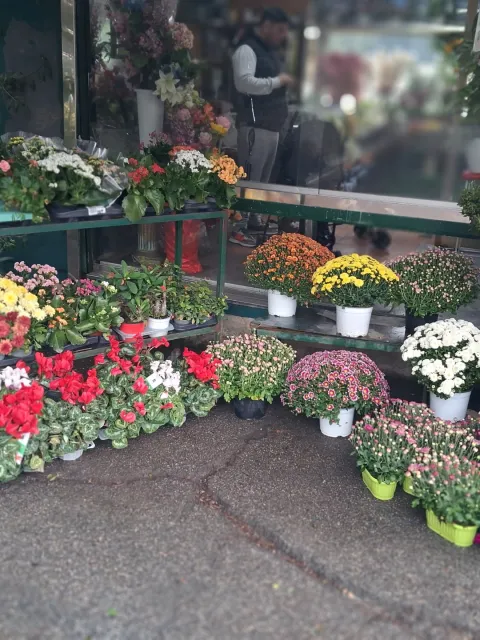 Market Image