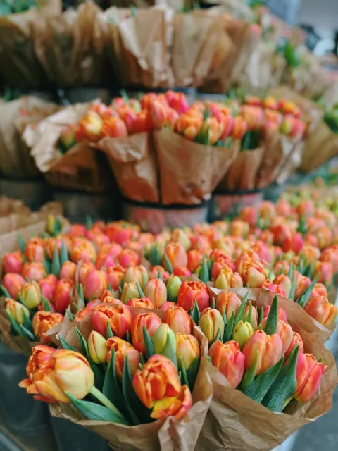 Market Image